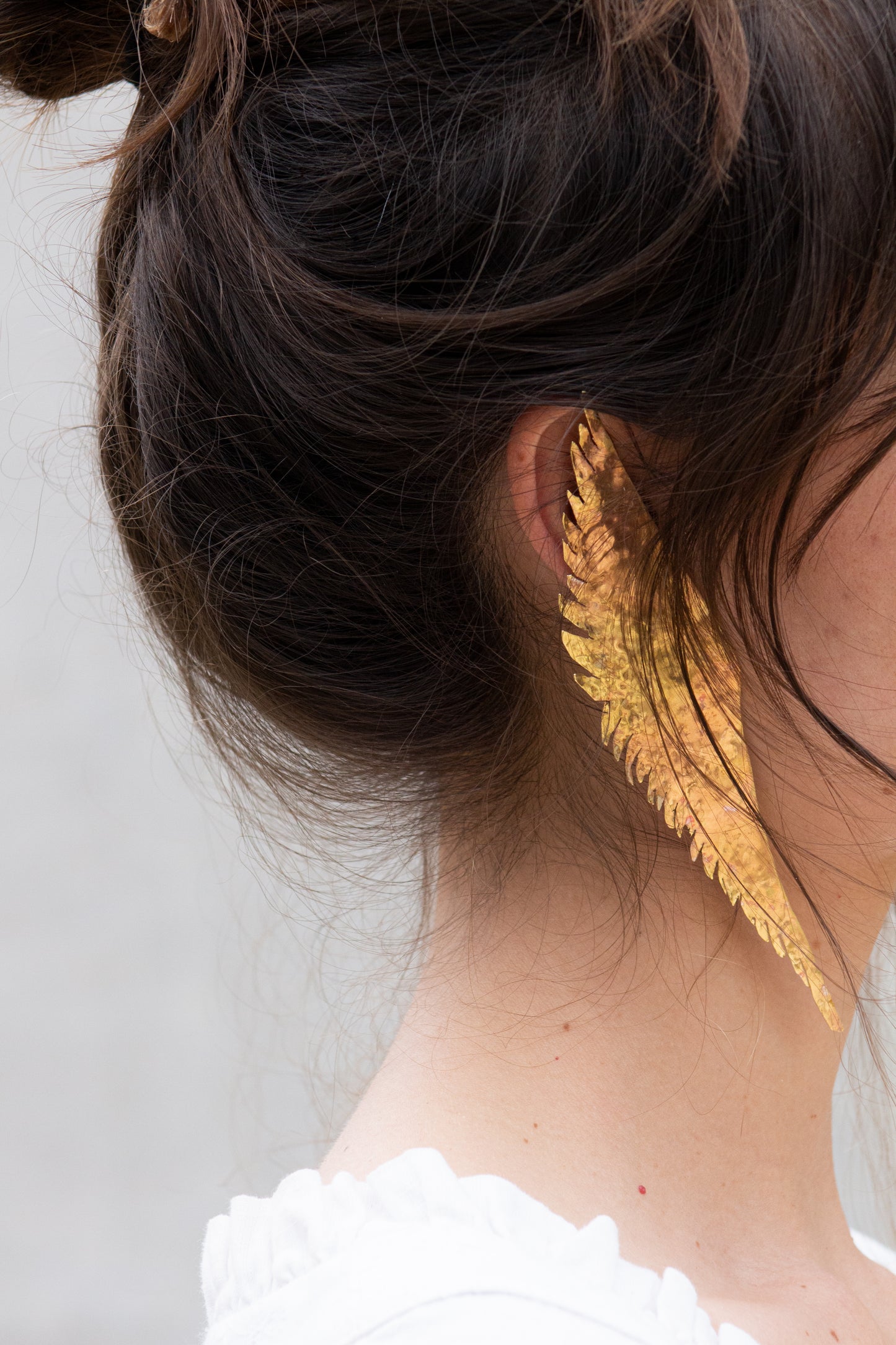 Firebird Wings