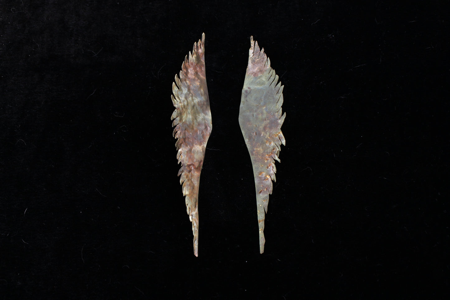 Firebird Wings