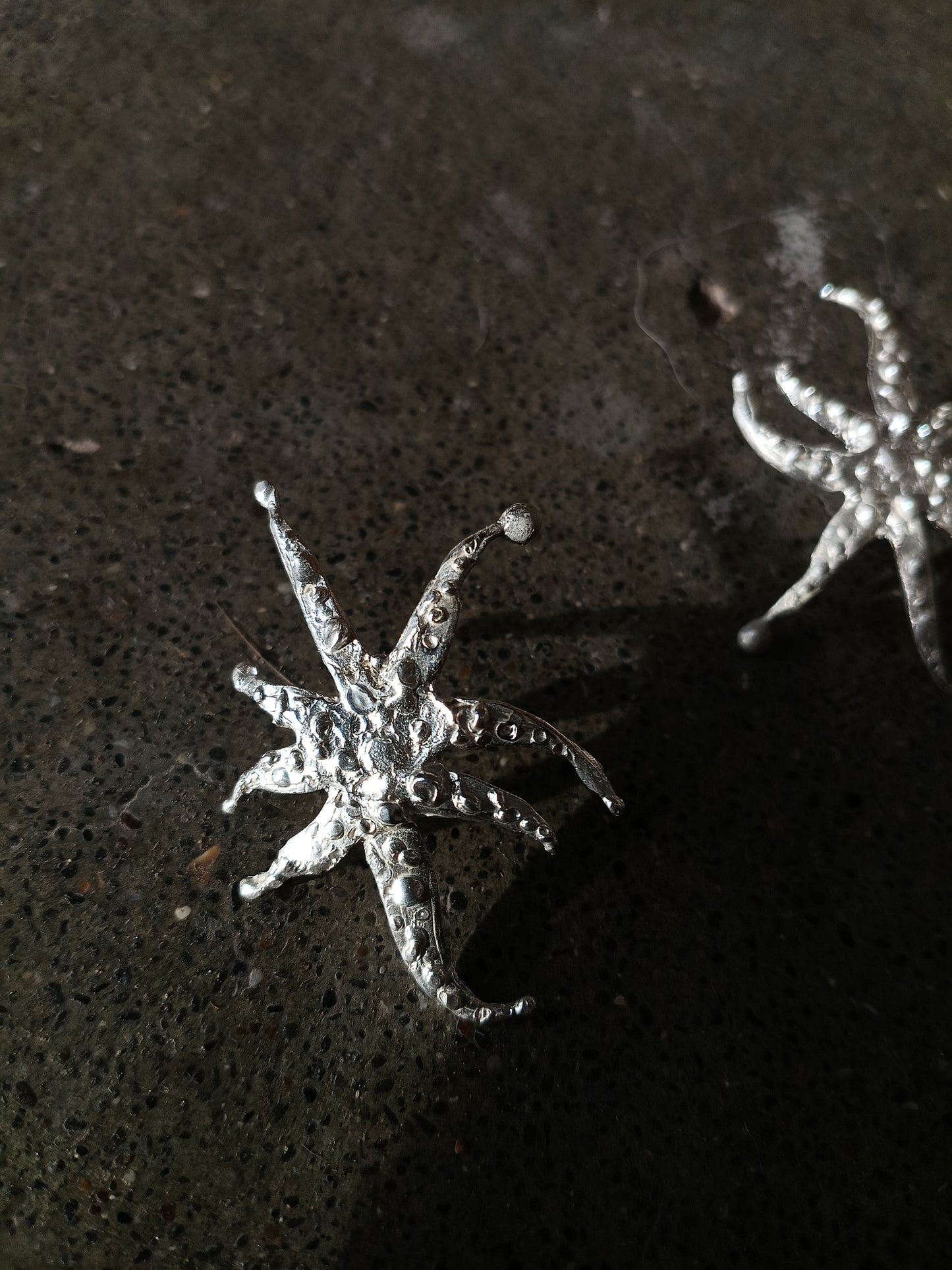 Silver Stars in Scorpii