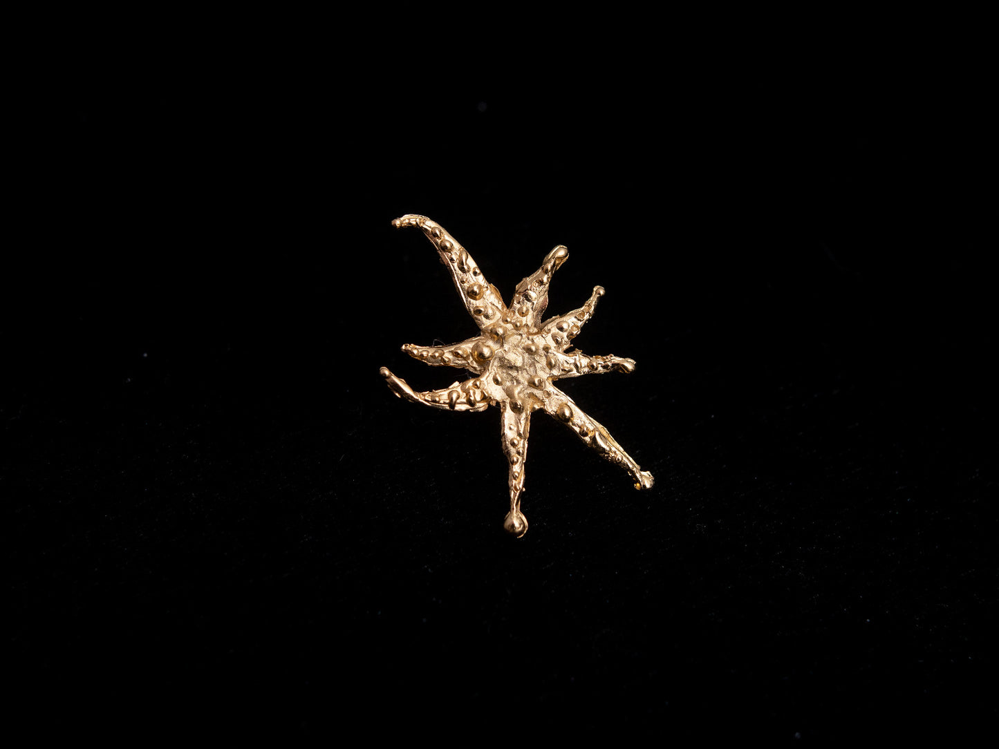 Stars in Scorpii