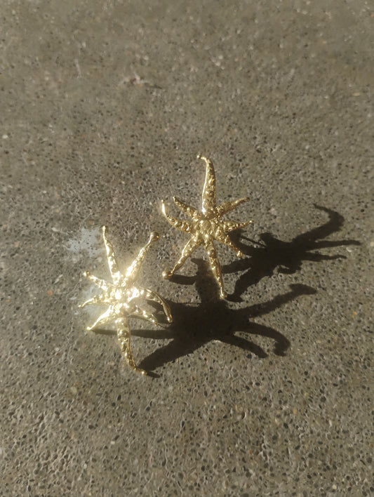 Stars in Scorpii