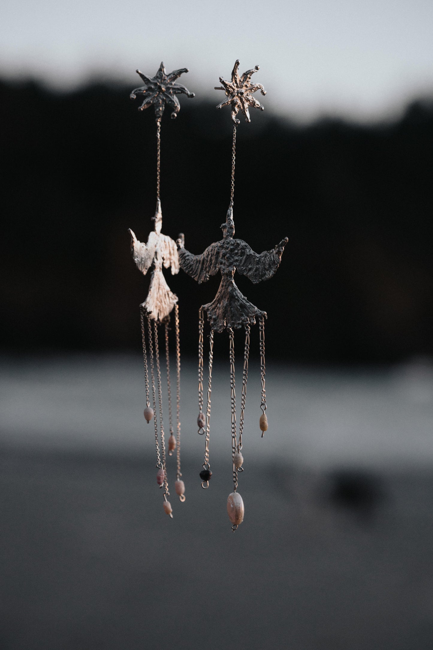 Silver Firebirds