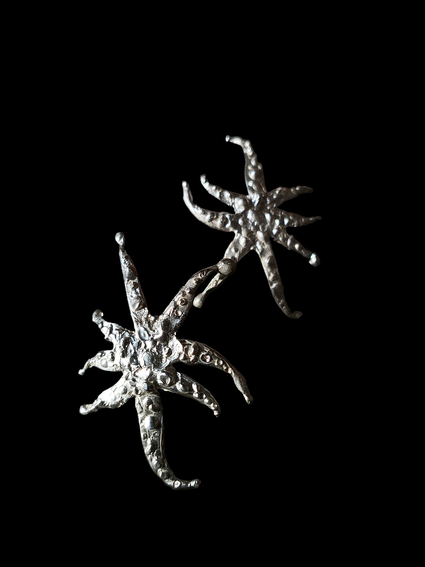 Silver Stars in Scorpii