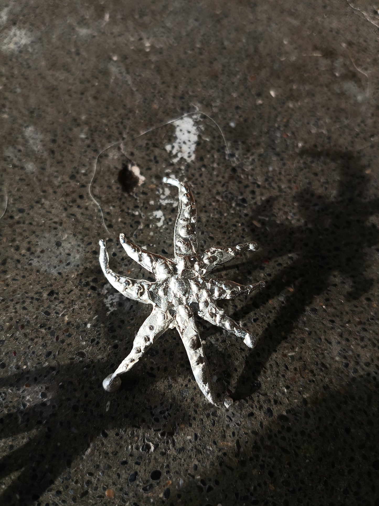 Silver Stars in Scorpii
