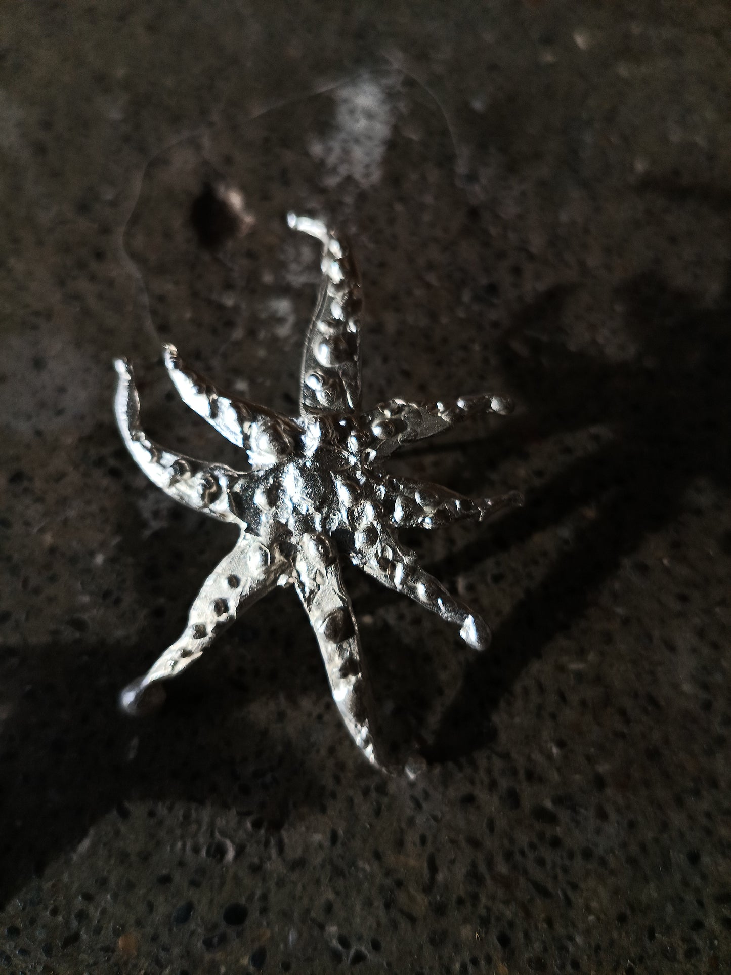 Silver Stars in Scorpii